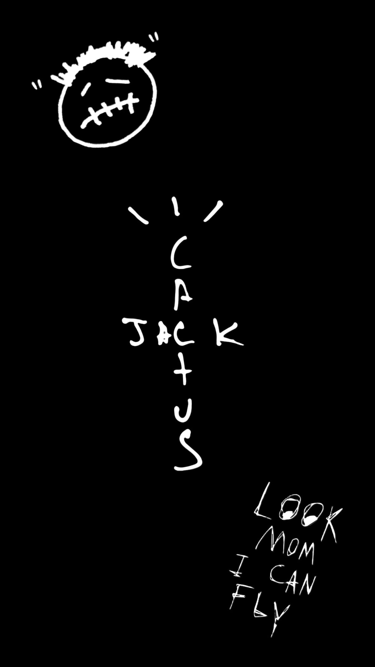 Cactus Jack X Jordan