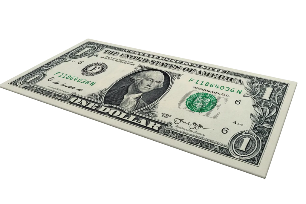 Dollar Note$ Carpet