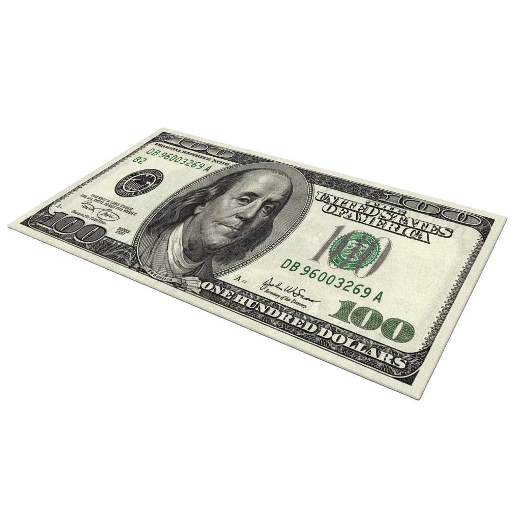 Dollar Note$ Carpet
