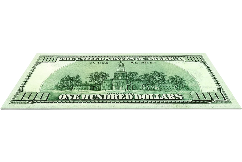 Dollar Note$ Carpet